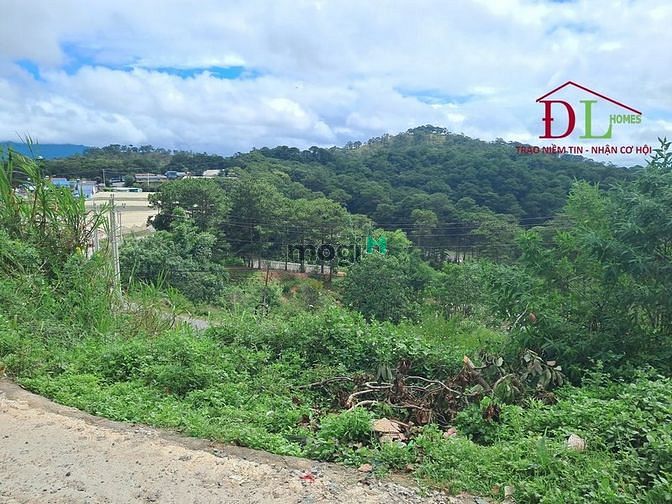 Hình ảnh Bán đất Măng Lin phường 7 Đà Lạt thích hợp an cư nghỉ dưỡng
