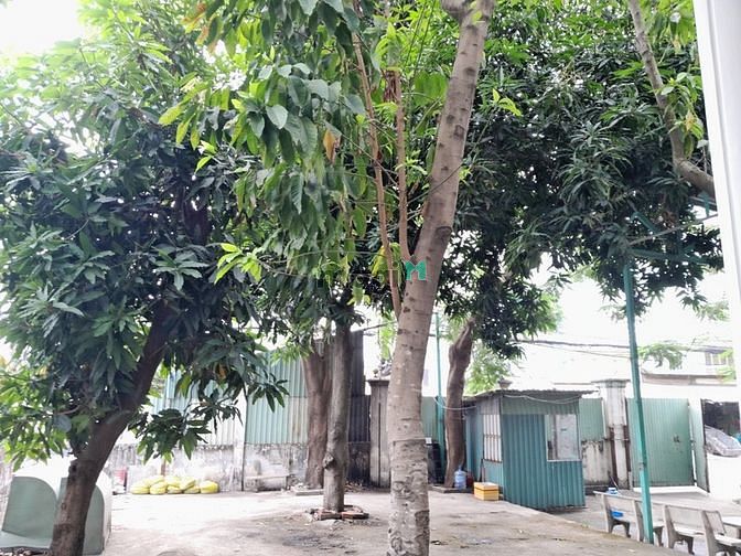 Hình ảnh Cho Thuê Xưởng PCCC TTN Q12. Gần kcn Tân Bình