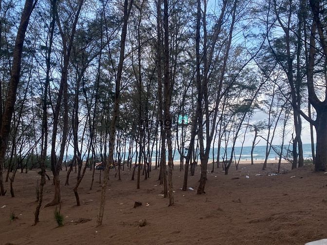 Hình ảnh Đất Mặt Tiền view bám biển 210m Tân Thắng giá 48 tỷ
