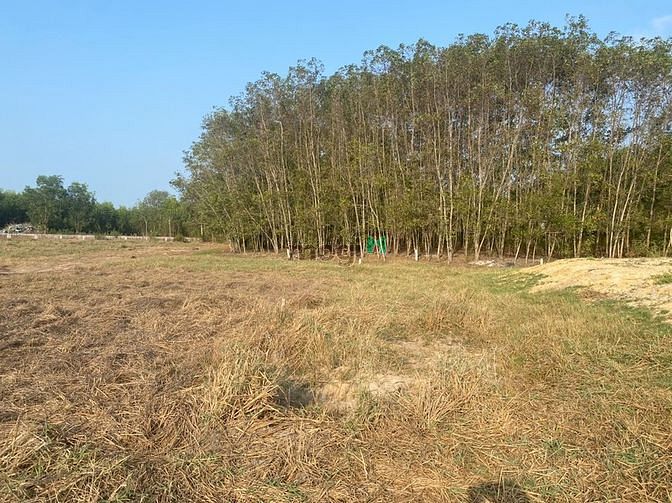 Hình ảnh 1400 m2 đất Tân Thắng giáp Thắng Hải giá 1 tỷ 450