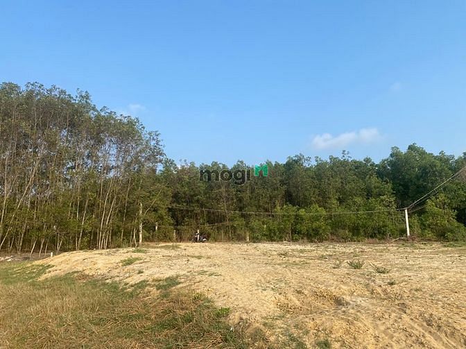 Hình ảnh 1400 m2 đất Tân Thắng giáp Thắng Hải giá 1 tỷ 450