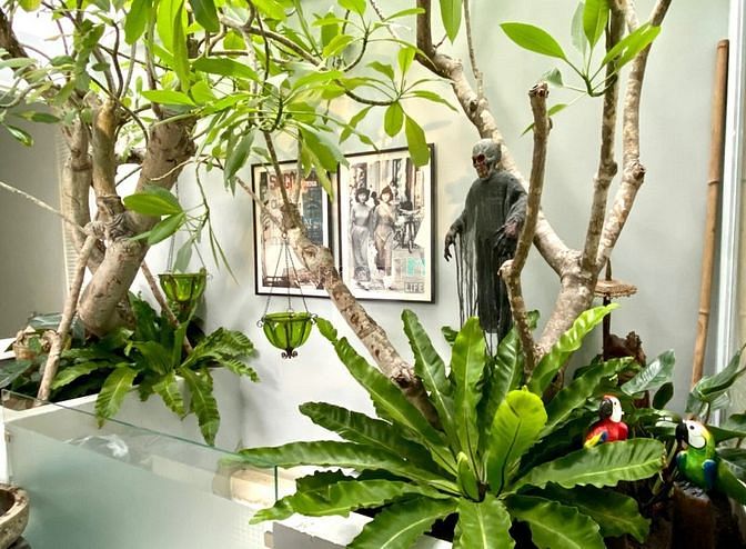 Hình ảnh Cho thuê Mặt Tiền 7A Phan Ngữ, P.Đa Kao, Q.1/ đầy đủ nội thất,