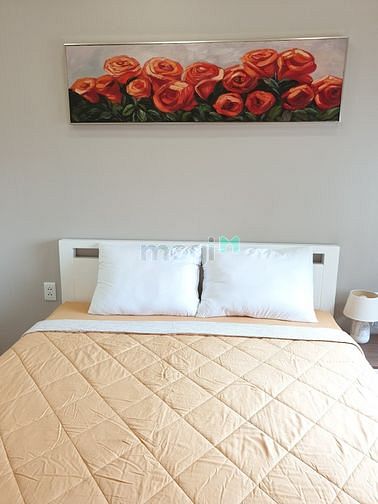 Hình ảnh GIÁ TỐT CHỐT NGAY CHỜ CHI - Cho Thuê 3PN MAS Thảo Điền 22TR