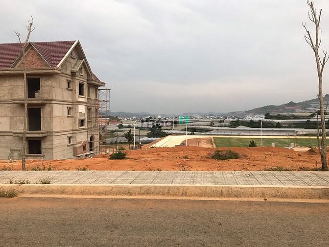 Hình ảnh Đất biệt thự thị trấn Lạc Dương, view đồi thông, gần KDL LangbianG