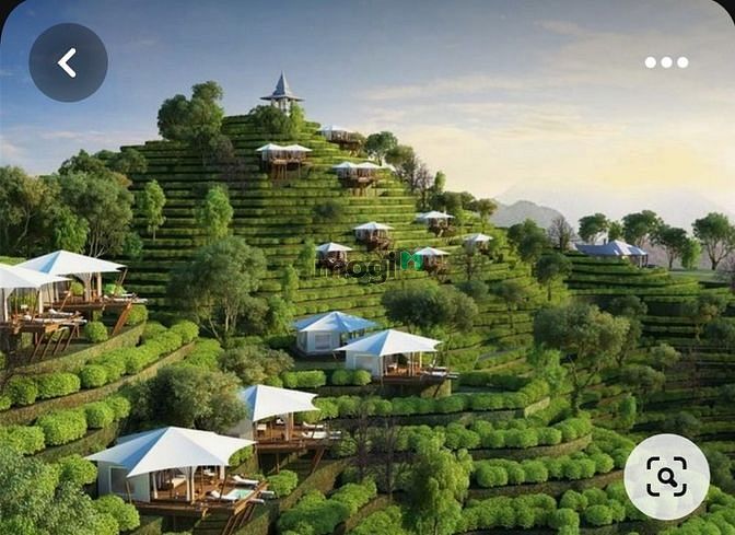 Hình ảnh bán đất view hồ đà lạt 2 hồ sinh thái