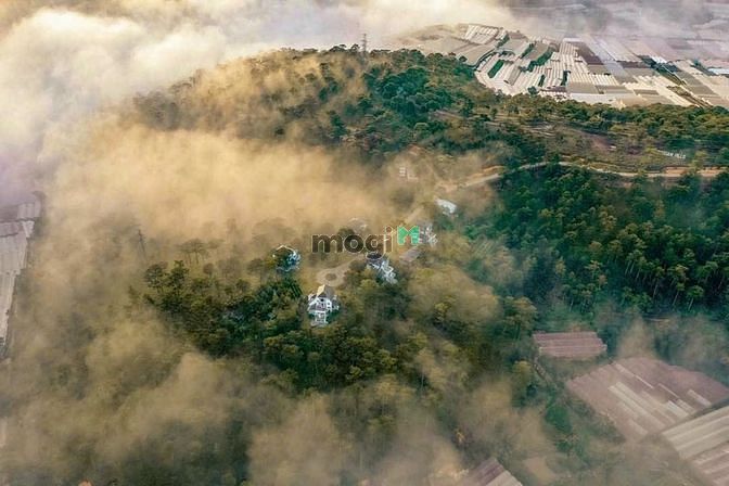 Hình ảnh Đất biệt thự 204m2 Măng Lin, TP Đà Lạt, view đồi thông thoáng đep