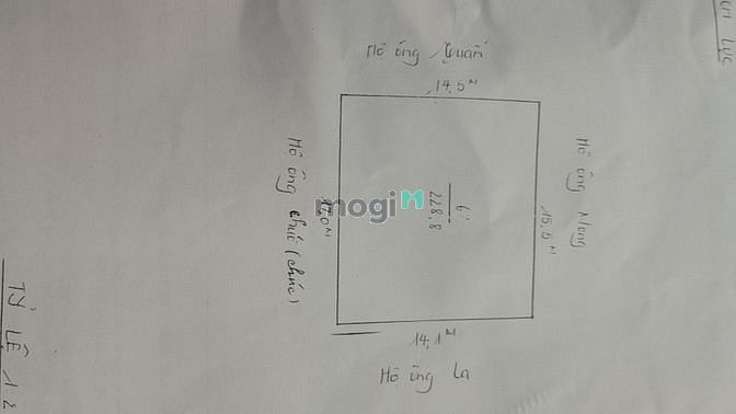 Hình ảnh Bán đất chợ Vĩnh Niệm đường Khúc Thừa Dụ, Lê Chân. 228m2, ngang 14,5m