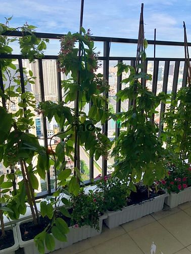 Hình ảnh Cho thuê 2PN 65m2 The Tresor nội thất cao cấp giá 17 triệu/tháng