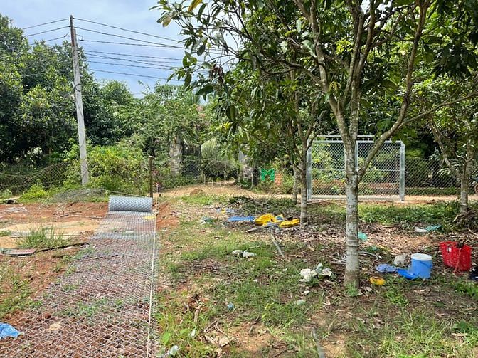 Hình ảnh Ông anh gửi bán vườn trái cây ở định quán giá 770tr.
