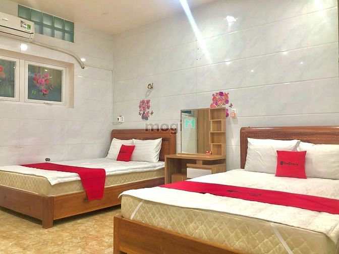 Hình ảnh Phòng Lớn Có Cửa Sổ, Phòng 2 giường