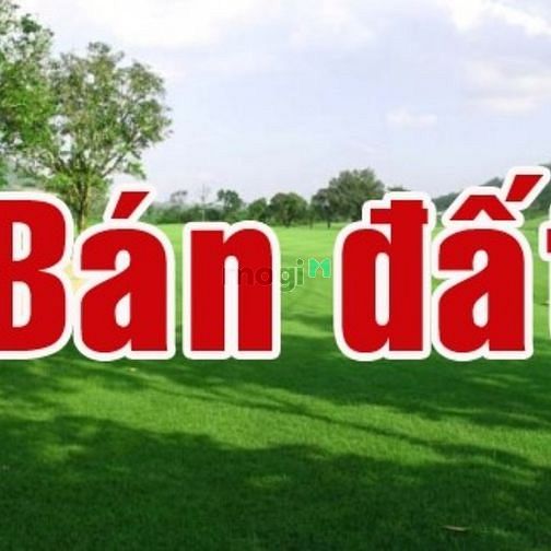 Hình ảnh Chính chủ bán đất ngay The Manor Nguyễn Hữu Cảnh