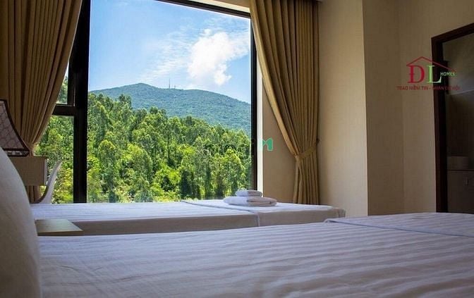 Hình ảnh Bán biệt thự Trần Quang Diệu phường 10 Đà Lạt view thung lũng săn mây