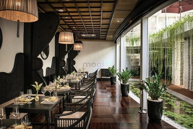 Hình ảnh ✨✨Siêu Phẩm Sân Vườn Phường Võ Thị Sáu Quận 3✨✨