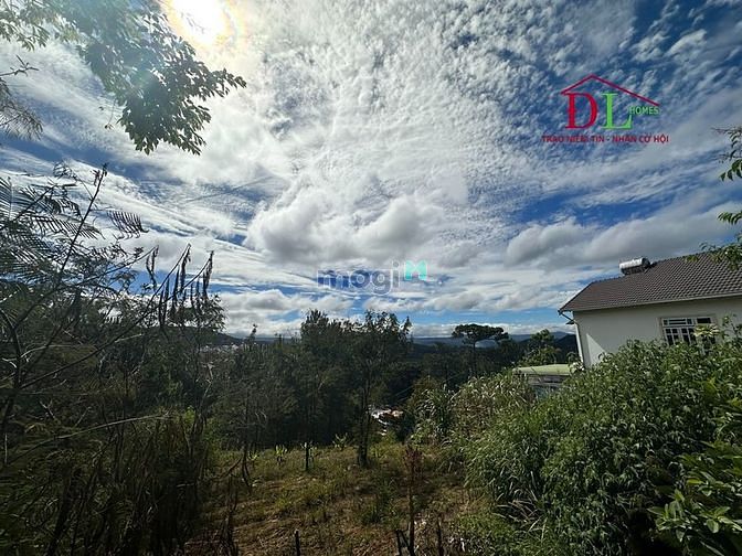 Hình ảnh Bán đất Trần Quang Diệu phường 10 Đà Lạt view thung lũng săn mây