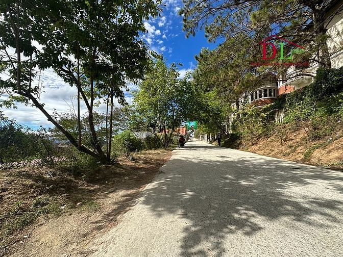 Hình ảnh Bán đất Trần Quang Diệu phường 10 Đà Lạt view thung lũng săn mây
