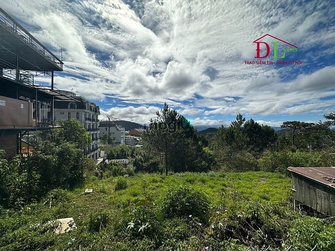 Hình ảnh Bán đất Trần Quang Diệu phường 10 Đà Lạt view thung lũng săn mây