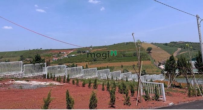 Hình ảnh Bán nhanh đất Thổ Cư 100% Sổ Riêng, Gần Trung Tâm Hành Chính Trảng Bom