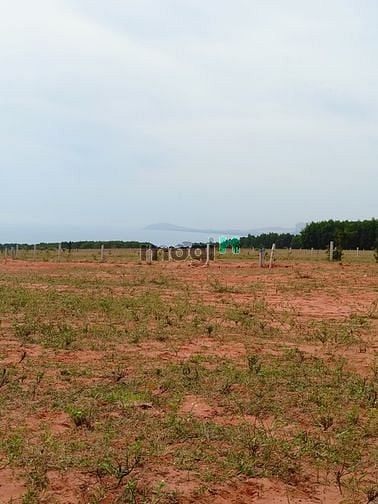 Hình ảnh Cần bán gấp lô đất 3000m2 Hòa Thắng,view biển-view Apec Mandala Mũi Né