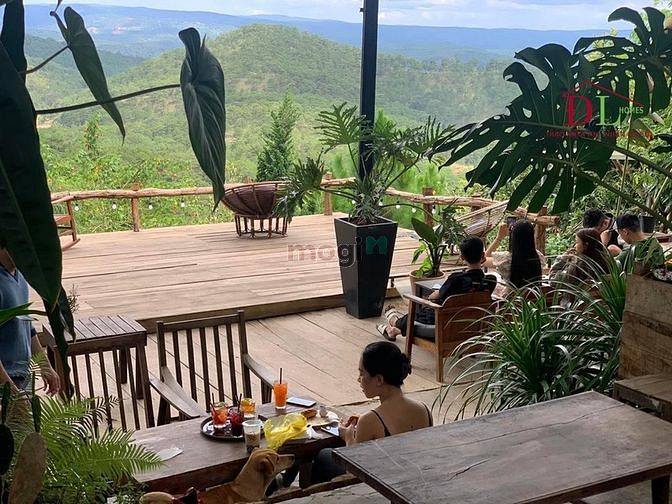 Hình ảnh Bán đất Trần Quang Diệu phường 10 Đà Lạt view thung lũng đang KD cafe