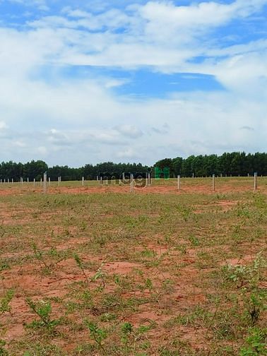 Hình ảnh Cần bán gấp lô đất 3000m2 Hòa Thắng,view biển-view Apec Mandala Mũi Né