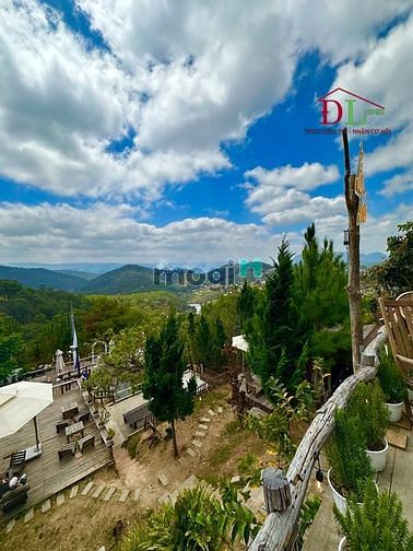 Hình ảnh Bán đất Trần Quang Diệu phường 10 Đà Lạt view thung lũng đang KD cafe