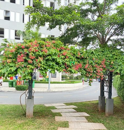 Hình ảnh Cho Thuê Căn 2PN - Ban Công Full Nội Thất tại CC Pegasuite Q.8