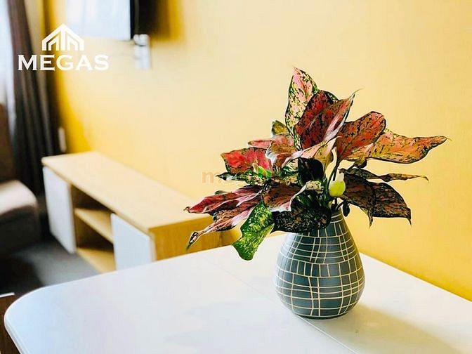 Hình ảnh Cho thuê phòng giá rẻ quận 7 dạng duplex ngay trung tâm quận 7