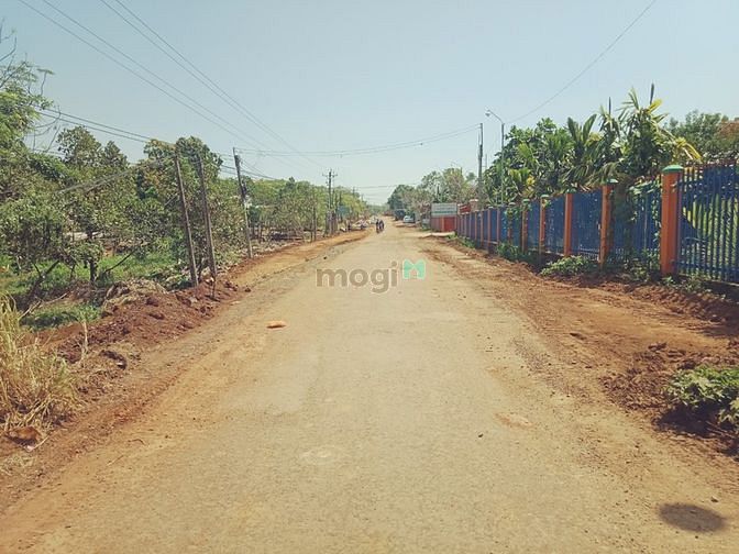Hình ảnh Cắt lỗ mạnh lô đất thổ cư gần chợ Thanh Lương 434m2 giá 500triệu