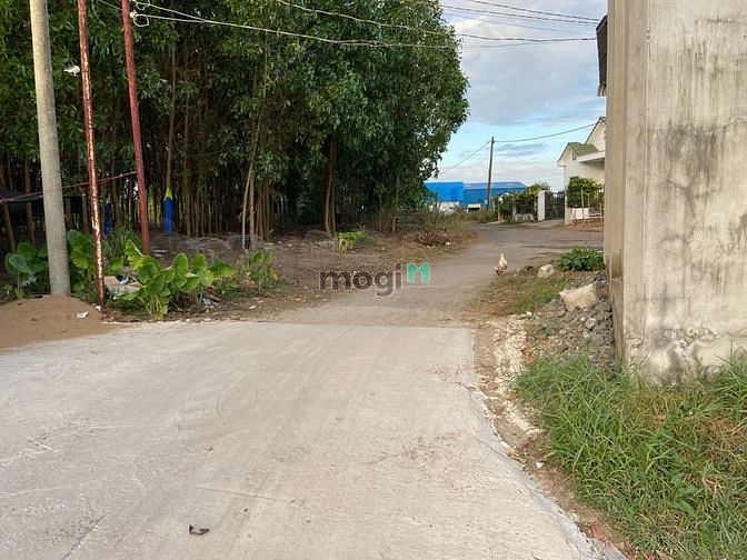 Hình ảnh Bán đất nền 100m2 chính chủ cách phà Cát Lái 10km