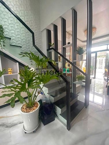 Hình ảnh Bán cặp Song Sinh mới đẹp, chỉ 3,9 tỷ/ em