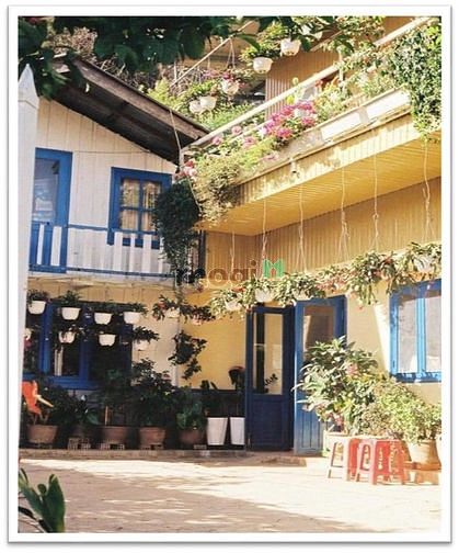Hình ảnh Đất và nhà biệt thự 354m2, đường Anh Bình, trung tâm TP Đà Lat