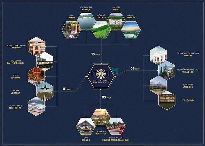 Hình ảnh Khu nghỉ dưỡng Bảo Lộc Pearl Tinh Hoa Hội Tụ