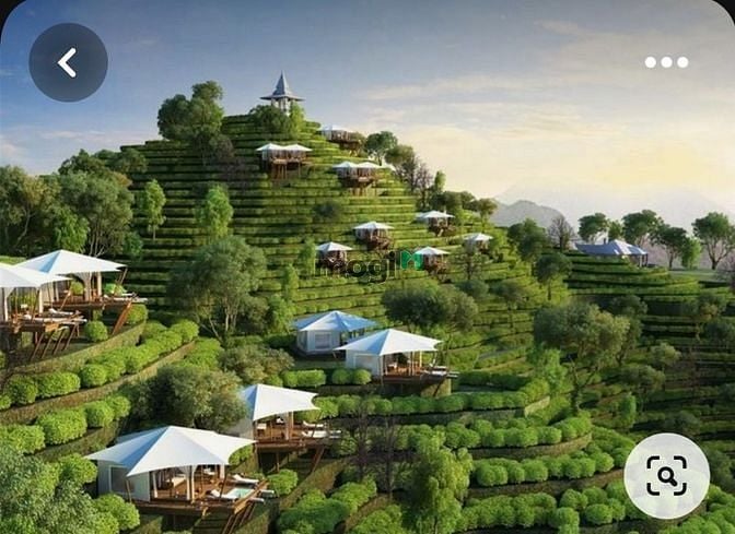 Hình ảnh bán đất view hồ đà lạt 2 đất mặt hồ sinh thái