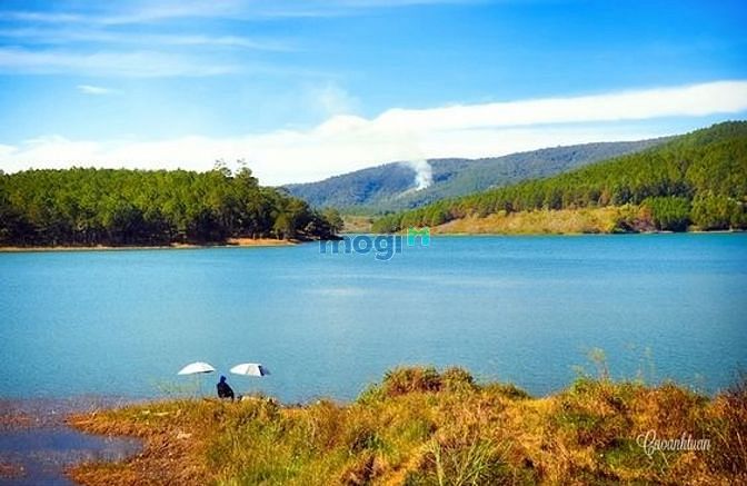 Hình ảnh bán đất view hồ đà lạt 2 đất mặt hồ sinh thái