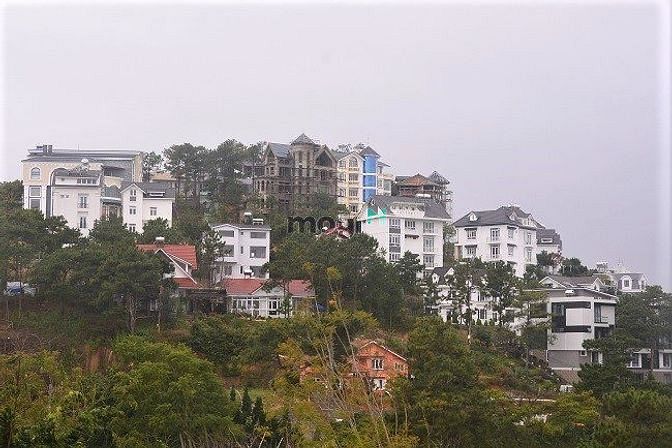 Hình ảnh Đất Biệt thự 300m2, Trịnh Hoài Đức gần KDL Nam Hồ, TP Đà Lạt