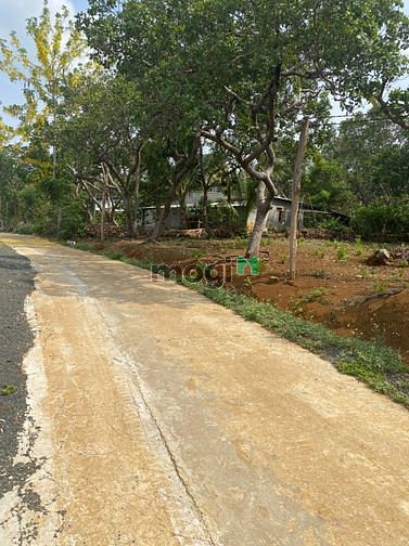 Hình ảnh Đất ngay KDL hồ Thác Mơ, chỉ hơn 200 triệu, sở hữu lô đất gần 300m2 TC