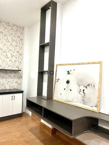 Hình ảnh Cho thuê căn Studi mới xây tại Huỳnh Tấn Phát , Quận 7 , TpHCM