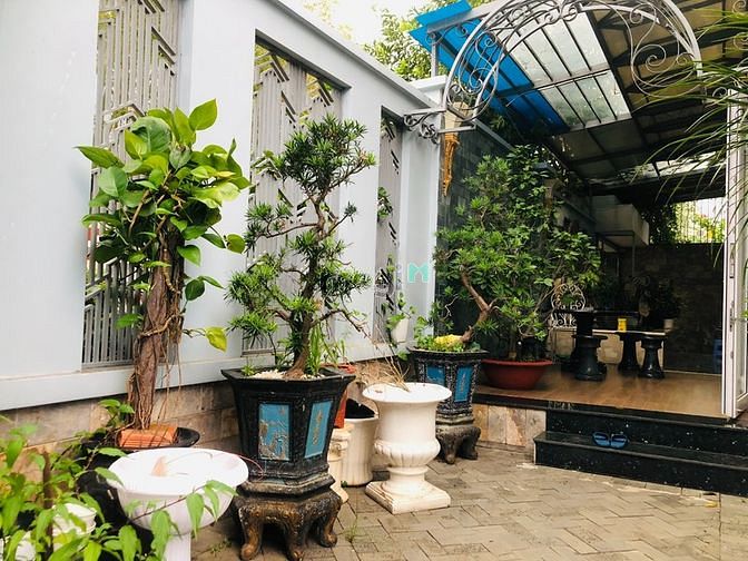 Hình ảnh BDS HVL Cho Thuê Biệt Thự Mini Giá Rẻ 24/05/2023