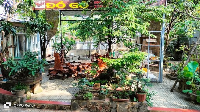 Hình ảnh Cho thuê nhà vườn mt tx 52 Q12