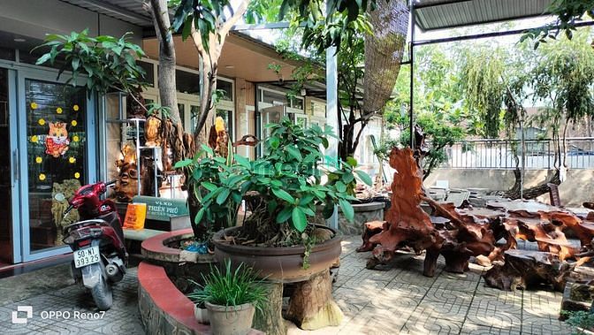 Hình ảnh Cho thuê nhà vườn mt tx 52 Q12
