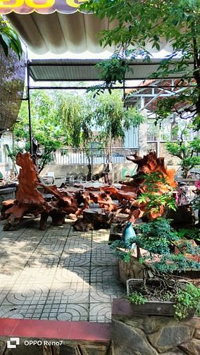 Hình ảnh Cho thuê nhà vườn mt tx 52 Q12