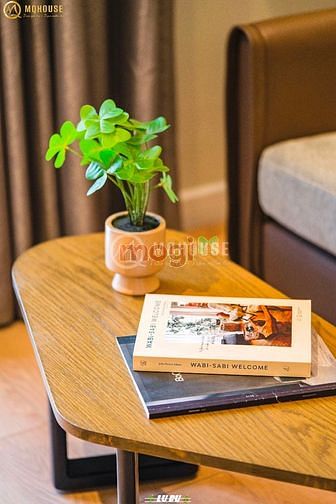 Hình ảnh 🎄Khai Trương Cc Mini Studio-1PN_Ds 41_Nguyễn Văn Hưởng Thảo Điền Q2