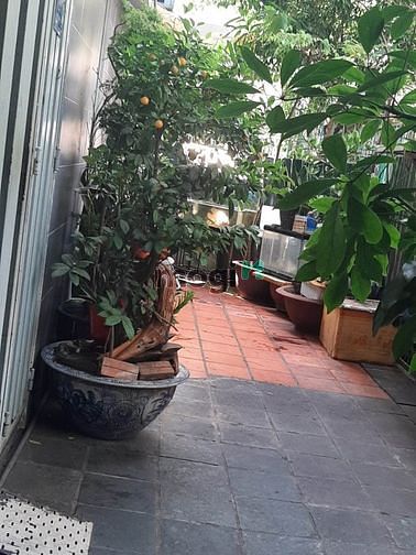 Hình ảnh Căn góc 3 mặt thoáng sát Chợ Phạm Văn Hai Tân Bình, 4 tầng, 76m2, 5PN.