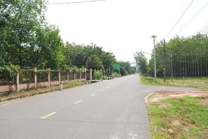 Hình ảnh Chạy nợ nên ra gấp giá nào cững bán
