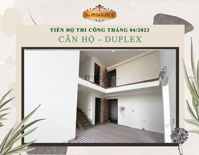 Hình ảnh Giỏ hàng căn Pegasuite 2 mới cập nhật - Giá tốt nhất thị trường