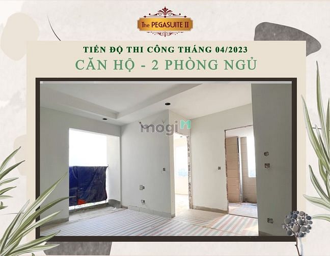Hình ảnh Giỏ hàng căn Pegasuite 2 mới cập nhật - Giá tốt nhất thị trường