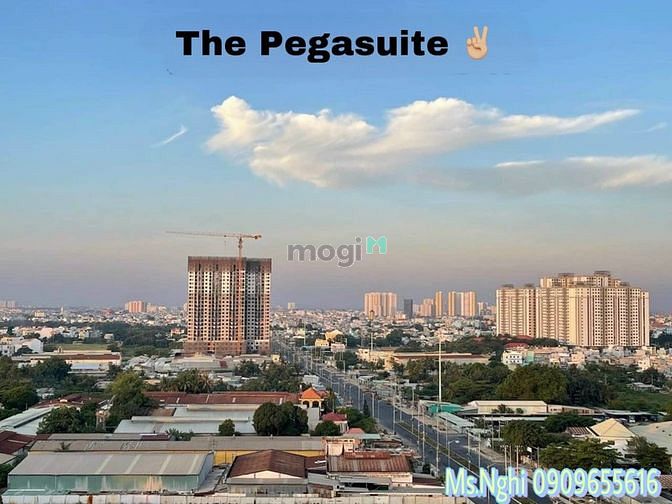 Hình ảnh Giỏ hàng căn Pegasuite 2 mới cập nhật - Giá tốt nhất thị trường
