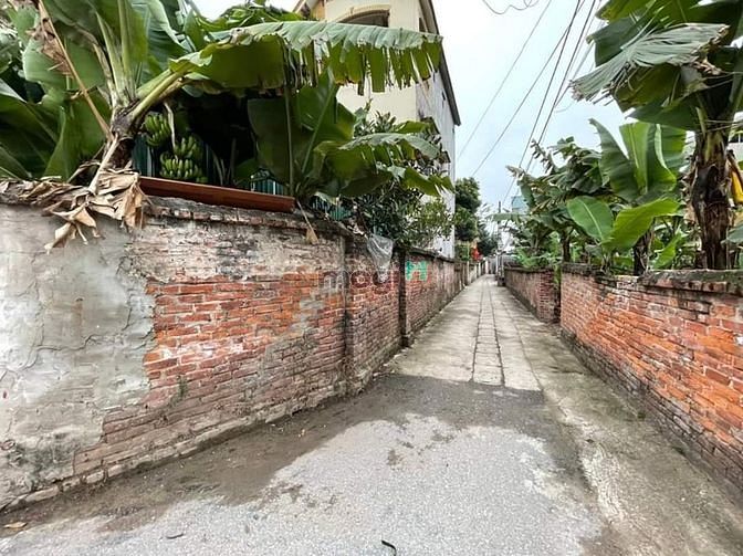 Hình ảnh Bán đất trung tâm thôn Gia Lâm xã Lệ Chi , ô tô đỗ cửa