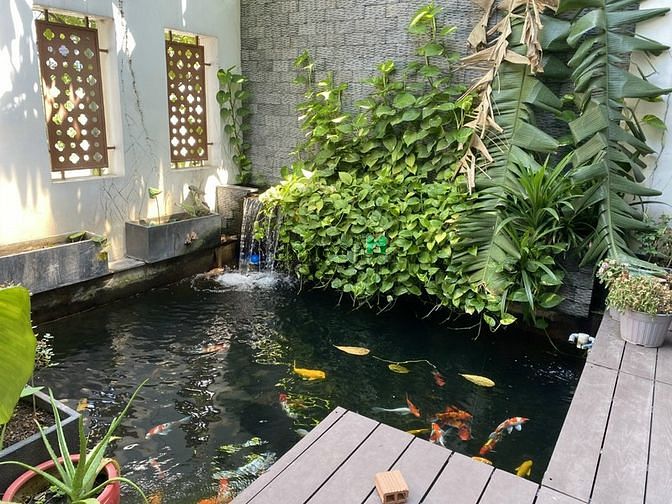 Hình ảnh CHO THUÊ BIỆT THỰ View Công viên, DT 300m2, 3 Tầng