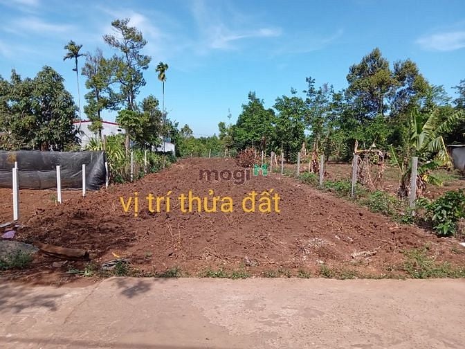 Hình ảnh Bán đất tại thôn Cao Thắng - xã Ea Kao - thành phố Buôn Ma Thuột